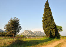 France-Provence-Luberon Trails